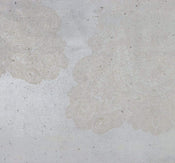 Komar Puro Vlies Fototapete 300x280cm 3-bahnen | Yourdecoration.de