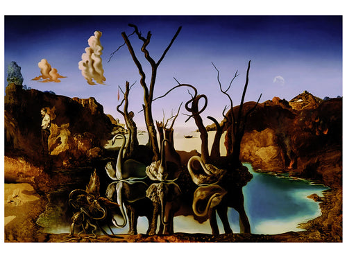 Salvador Dali - Reflections of Elephants Kunstdruck 80x60cm | Yourdecoration.de
