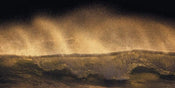 Komar Golden Wave Vlies Fototapete 200x100cm 1-bahn | Yourdecoration.de