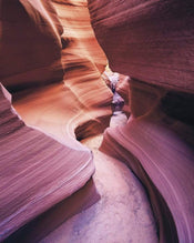 Komar Lost in Color Vlies Fototapete 200x250cm 2-bahnen | Yourdecoration.de