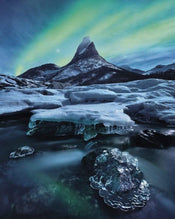 Komar The Coronation Vlies Fototapete 200x250cm 2-bahnen | Yourdecoration.de