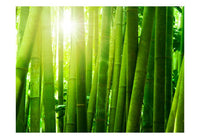 Artgeist Zon en Bamboe Vlies Fototapete | Yourdecoration.de