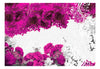 Fototapete - Colors of Spring Fuchsia - Vliestapete