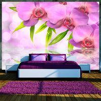 Fototapete - Orchids in Lilac Colour - Vliestapete
