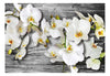 Fototapete - Callous Orchids Iii - Vliestapete