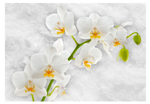 Fototapete - Lyrical Orchid White - Vliestapete