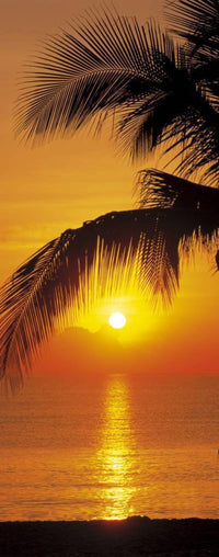 Komar Palmy Beach Sunrise Fototapete 92x220cm | Yourdecoration.de