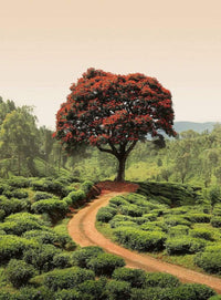 Wizard+Genius Red Tree And Hills In Sri Lanka Vlies Fototapete 192x260cm 4-bahnen | Yourdecoration.de
