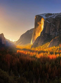 Wizard+Genius Yosemite National Park Usa Vlies Fototapete 192x260cm 4-bahnen | Yourdecoration.de