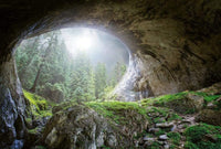 Wizard+Genius Cave In The Forest Vlies Fototapete 384x260cm 8-bahnen | Yourdecoration.de