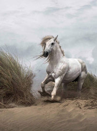 Wizard+Genius White Wild Horse Vlies Fototapete 192x260cm 4-bahnen | Yourdecoration.de
