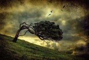 Wizard+Genius Scary Vintage Tree Vlies Fototapete 384x260cm 8-bahnen | Yourdecoration.de