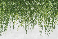 Wizard+Genius Hanging Plants Vlies Fototapete 384x260cm 8-bahnen | Yourdecoration.de