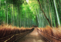 Wizard+Genius Bamboo Grove Kyoto Vlies Fototapete 384x260cm 8-bahnen | Yourdecoration.de