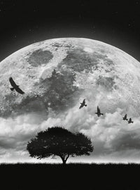 Wizard+Genius Moon and Birds Vlies Fototapete 192x260cm 4-bahnen | Yourdecoration.de