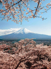 Wizard+Genius Mount Fuji in Japan Vlies Fototapete 192x260cm 4-bahnen | Yourdecoration.de