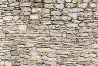 Wizard+Genius Stone Wall II Vlies Fototapete 384x260cm 8-bahnen | Yourdecoration.de