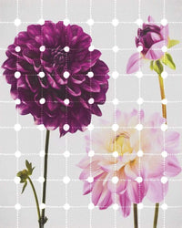 Komar Flowers and Dots Vlies Fototapete 200x250cm 2-bahnen | Yourdecoration.de