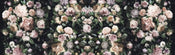 Komar Victoria Black Vlies Fototapete 800x250cm 8-bahnen | Yourdecoration.de