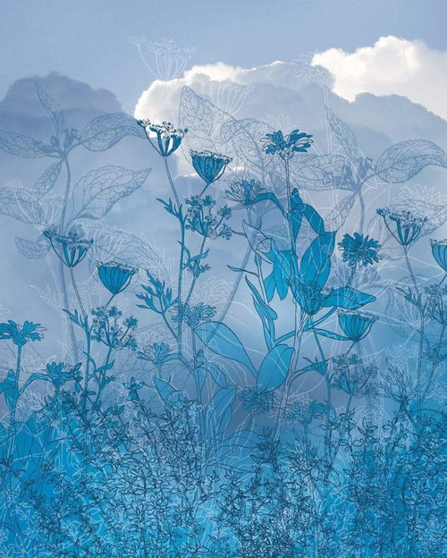 Komar Blue Sky Vlies Fototapete 200x250cm 2-bahnen | Yourdecoration.de