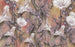 Komar Bloomin Vlies Fototapete 400x250cm 4-bahnen | Yourdecoration.de