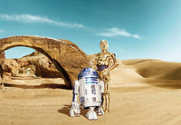 Komar Star Wars Lost Droids Fototapete 368x254cm | Yourdecoration.de