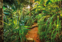 Komar Jungle Trail Fototapete 368x254cm | Yourdecoration.de