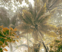 Komar Palms Panorama Vlies Fototapete 300x250cm 3 bahnen | Yourdecoration.de