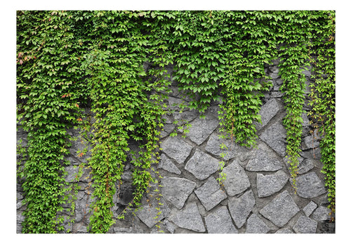 Fototapete - Green Wall - Vliestapete
