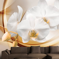 Fototapete - Orchid Blossom - Vliestapete