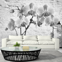 Fototapete - Orchid in Shades of Gray - Vliestapete
