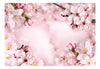 Fototapete - Spring Cherry Blossom - Vliestapete