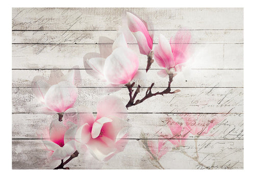 Fototapete - Gentleness of the Magnolia - Vliestapete