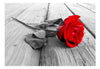 Fototapete - Abandoned Rose - Vliestapete