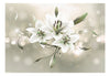Fototapete - Lily Flower of Masters - Vliestapete