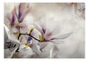 Fototapete - Subtle Magnolias First Variant - Vliestapete