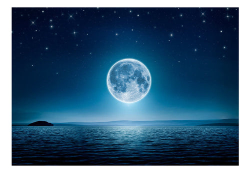Fototapete - Moonlit Night - Vliestapete