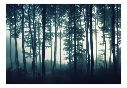 Fototapete - Dark Forest - Vliestapete