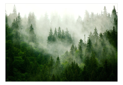 Fototapete - Mountain Forest Green - Vliestapete
