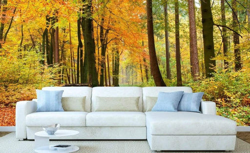 Dimex Autumn Forest Fototapete 375x250cm 5-Bahnen Sfeer | Yourdecoration.nl