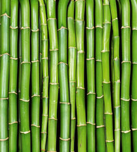Dimex Bamboo Fototapete 225x250cm 3-Bahnen | Yourdecoration.de
