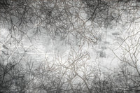 Dimex Branch Abstract Fototapete 375x250cm 5-bahnen | Yourdecoration.de