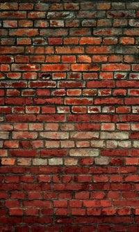 Dimex Brick Wall Fototapete 150x250cm 2-Bahnen | Yourdecoration.de