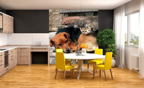 Dimex Cat and Dog Fototapete 225x250cm 3-Bahnen Sfeer | Yourdecoration.nl