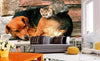 Dimex Cat and Dog Fototapete 375x250cm 5-Bahnen Sfeer | Yourdecoration.nl