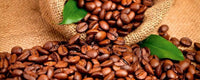 Dimex Coffee Beans Fototapete 375x150cm 5-Bahnen | Yourdecoration.de