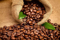 Dimex Coffee Beans Fototapete 375x250cm 5-Bahnen | Yourdecoration.de