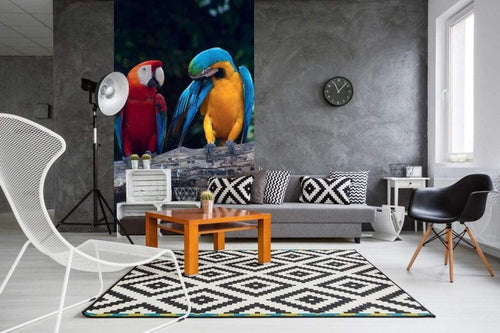 Dimex Colourful Macaw Fototapete 150x250cm 2-Bahnen Sfeer | Yourdecoration.nl