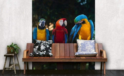 Dimex Colourful Macaw Fototapete 225x250cm 3-Bahnen Sfeer | Yourdecoration.nl