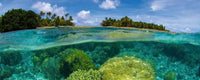 Dimex Coral Reef Fototapete 375x150cm 5-Bahnen | Yourdecoration.de